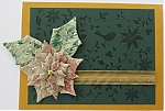 Filename=Poinsettia.jpg
Filesize=201KiB
Dimensions=640x432
Date added=Oct 12, 2014 Poinsettia.jpg