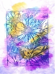 Filename=2.jpg
Filesize=306KiB
Dimensions=480x640
Date added=Aug 26, 2014 2.jpg