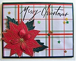 Filename=April_xmas_card_-_poinsettia.jpg
Filesize=114KiB
Dimensions=500x400
Date added=Apr 03, 2017 April_xmas_card_-_poinsettia.jpg