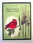 Filename=bird_and_trees.jpg
Filesize=303KiB
Dimensions=494x640
Date added=Jun 21, 2016 bird_and_trees.jpg