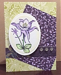 image~55.jpg