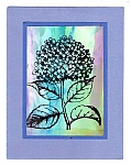 Filename=Alcoholl_inks_002.jpg
Filesize=67KiB
Dimensions=503x634
Date added=Mar 30, 2015 Alcoholl_inks_002.jpg