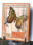 Butterfly_card_wooden_background.jpg