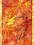 Filename=Golden_Leaves10222017.jpg
Filesize=84KiB
Dimensions=388x504
Date added=Oct 22, 2017 Golden_Leaves10222017.jpg