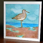 Watercolor_on_Cards__texture_on_sandpiper.jpg