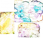 Filename=cling_wrap.jpg
Filesize=63KiB
Dimensions=576x531
Date added=Mar 20, 2015 cling_wrap.jpg