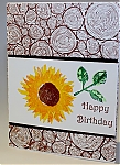 Sunflowers_and_Dragonflies2C_Stampn__Up212C_Painted_Harvest2C_Tree_Rings.jpg