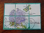 Filename=DSC05007.JPG
Filesize=42KiB
Dimensions=329x244
Date added=Apr 21, 2015 DSC05007.JPG