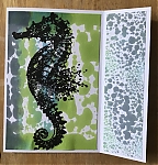 Seahorse_card_front_opened.JPG