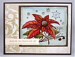 Filename=AIpoinsettia.jpg
Filesize=268KiB
Dimensions=640x488
Date added=Jul 31, 2020 AIpoinsettia.jpg
